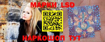 прущие грибы Краснодар