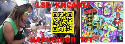 прущие грибы Краснодар