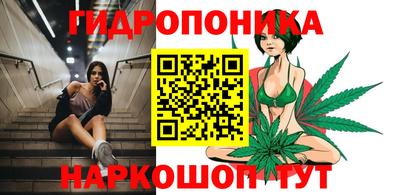 прущие грибы Краснодар